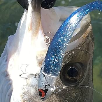 Amazon.co.jp: コアマン VJ28#060 ゴールドクロームヘッド