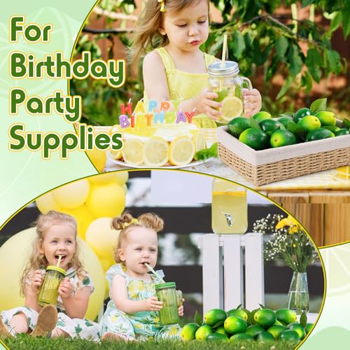 Image of 24 Pcs Fake Lemons 2.8 Inch Yellow and Green