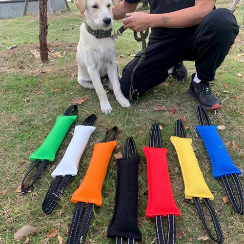 Geavonyg Zerrspielzeug Für Hundetraining Reißfest Alle Hunderassen Geeignet Erleichtert Training Und Sorgt Interaktiv Positive Verstärkung Bei Langeweile Und Intelligenz. Groß Kauen Bei