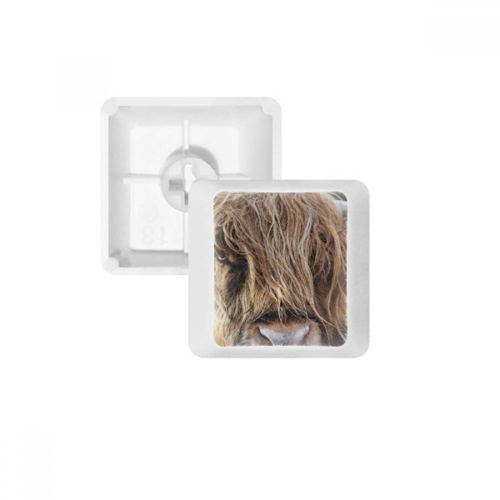 Keycaps PBT pour clavier mécanique Buffalo blanc OEM vierge R3 multicolore