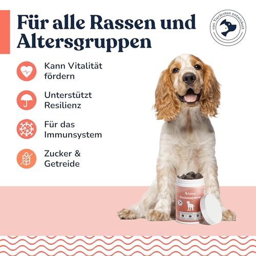felmo Immunsystem-Snacks für Hunde – zuckerfreie Hundesnacks mit Echinacea, Oregano, Süßkartoffel & Lammprotein – für Hunde Aller Rassen – ca. 70 Snacks