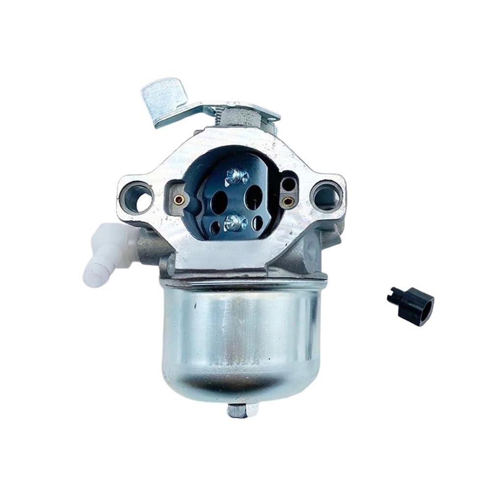 Carburateur Briggs 495784 pour l'entretien de motoculture