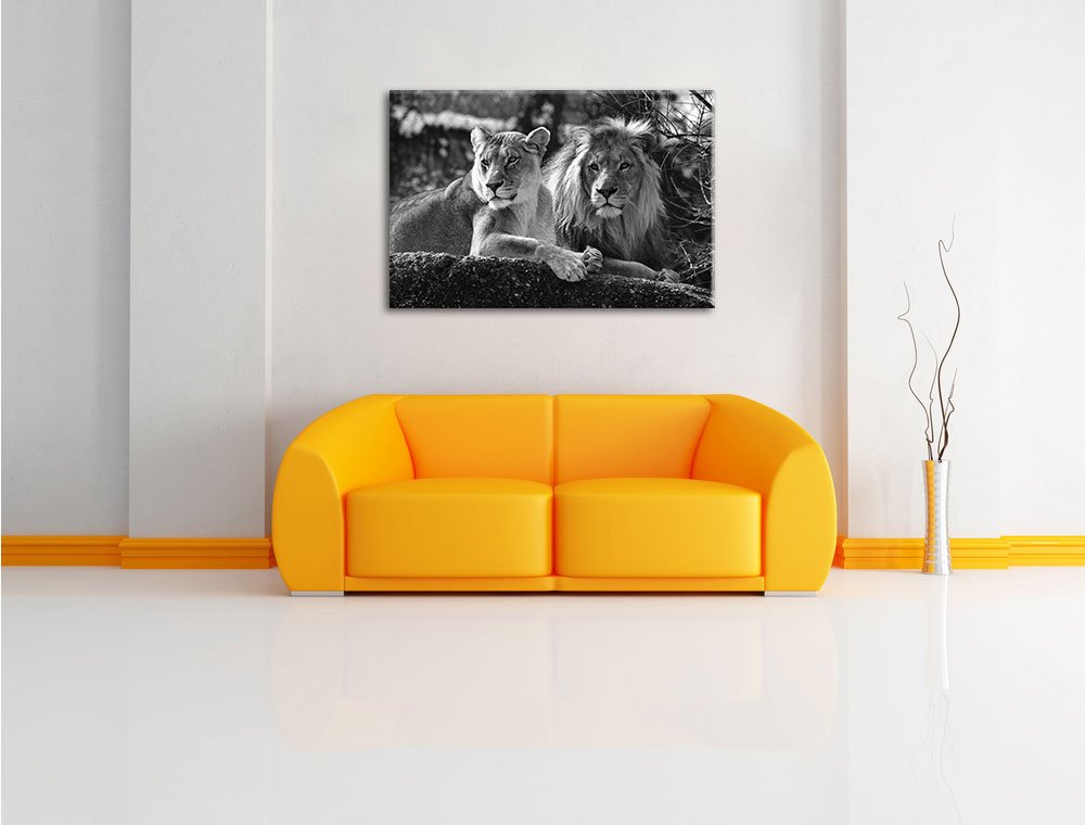 Pixxprint interessiertes Löwenpaar Kunst B&W, Größe: 120x80cm, Leinwandbild, fertig gespannt, Wandbild, Dekoration, Kunstdruck, kein Poster