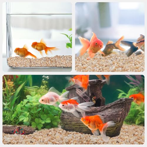 Image of 5 lbs Coarse Sand for Plants, 1 /5 Inch Horticultural Sand for Succulents, Desert Silica Sand for Cactus, Vases, Aquariums, Terrarium, Fish Tank, Drainage Gravel for Potted Plants, Bamboo, Crafts