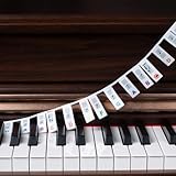 ZHRUNS Removable Piano Key Stickers - 61 Key Silicone Keyboard Labels for Beginners, Colourful Note Stickers with Storage Box (White)