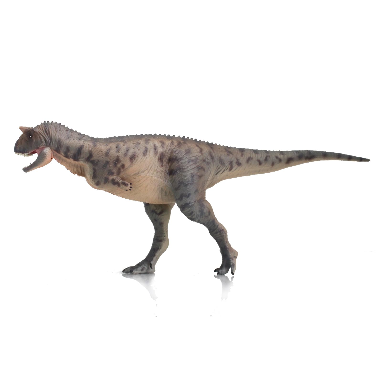 AMITD Carnotaurus (Zhoutong)