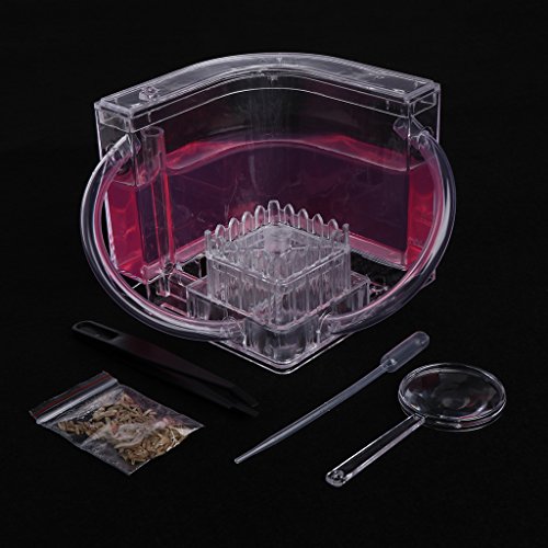 Qupida 3D Ant Farm Educational Maze Live Feeding System Ants Habitat World Pet Villa,Ant Works Castle Experiment (PK)
