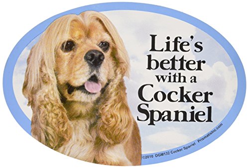 Imán de gato y perro Cocker Spaniel miniatura 1