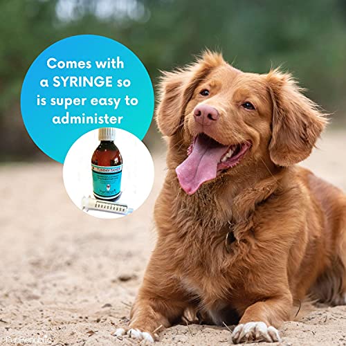PupRepublic Fast Acting dog diarrhea treatment - Digestive Disorders - More Effective than Kaolin - Sickness & Allergy Relief for Dogs of All Breeds & Sizes - 5