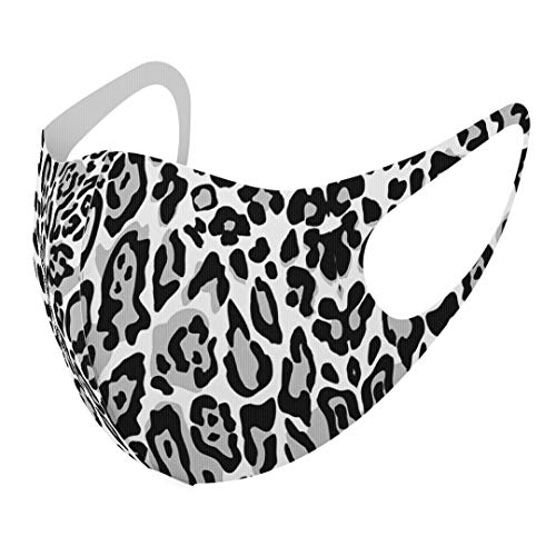 [X}R] fUC }XN QZbg |GXe 􂦂 z}XN XLTCY 傫 jp 011584 qE Aj} 