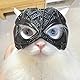 Spinne Batman Maske für Katzen Spinne Batman Katzenmaske Spinne Katzen Batman Maske Spinne Cat Batman Mask Spinne Katze Batman Maske Spinne Batcat Maske Spinne Batman Maske für Katzen Spinne
