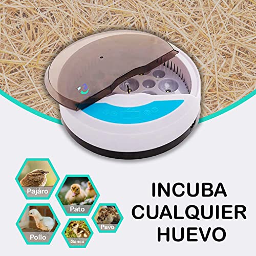 Mini-Brutmaschine für Eier, automatisch, Inkubator für Hühner, 9 Eier, mit Temperaturkontrolle, ideal für Geflügel… – Bild 3