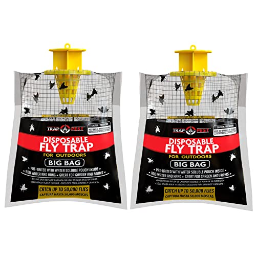 Comparison of Best Flies Trap Top Picks 2023 Reviews