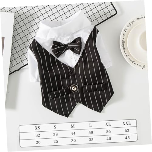 Toddmomy ybgpamX[c Lp ubN  p[eB[ ϋvf K݌v ȃ[X tėphX