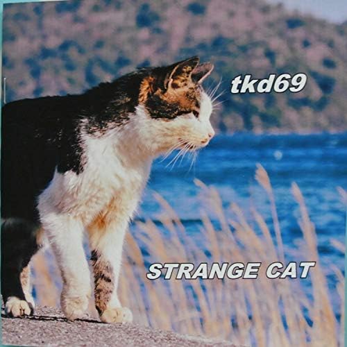 Amazon Musicでtkd69のStrange Catを再生する