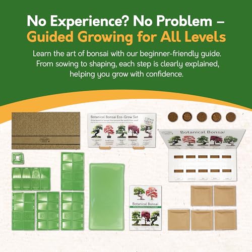 Grow Your Own Bonsai Tree Kit - 5 Seed Varieties, Indoor Set - Image 5