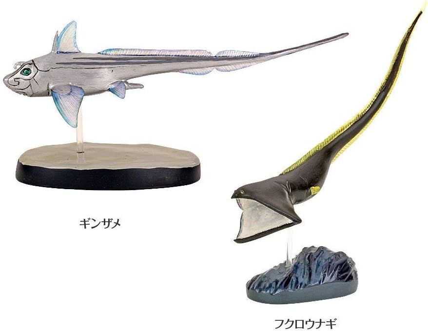 Amazon カロラータ 深海魚 フィギュア 立体図鑑 魚 リアル フィギュアボックス 解説書 スタンド付き 食品衛生法クリア 7種 フィギュア ドール 通販