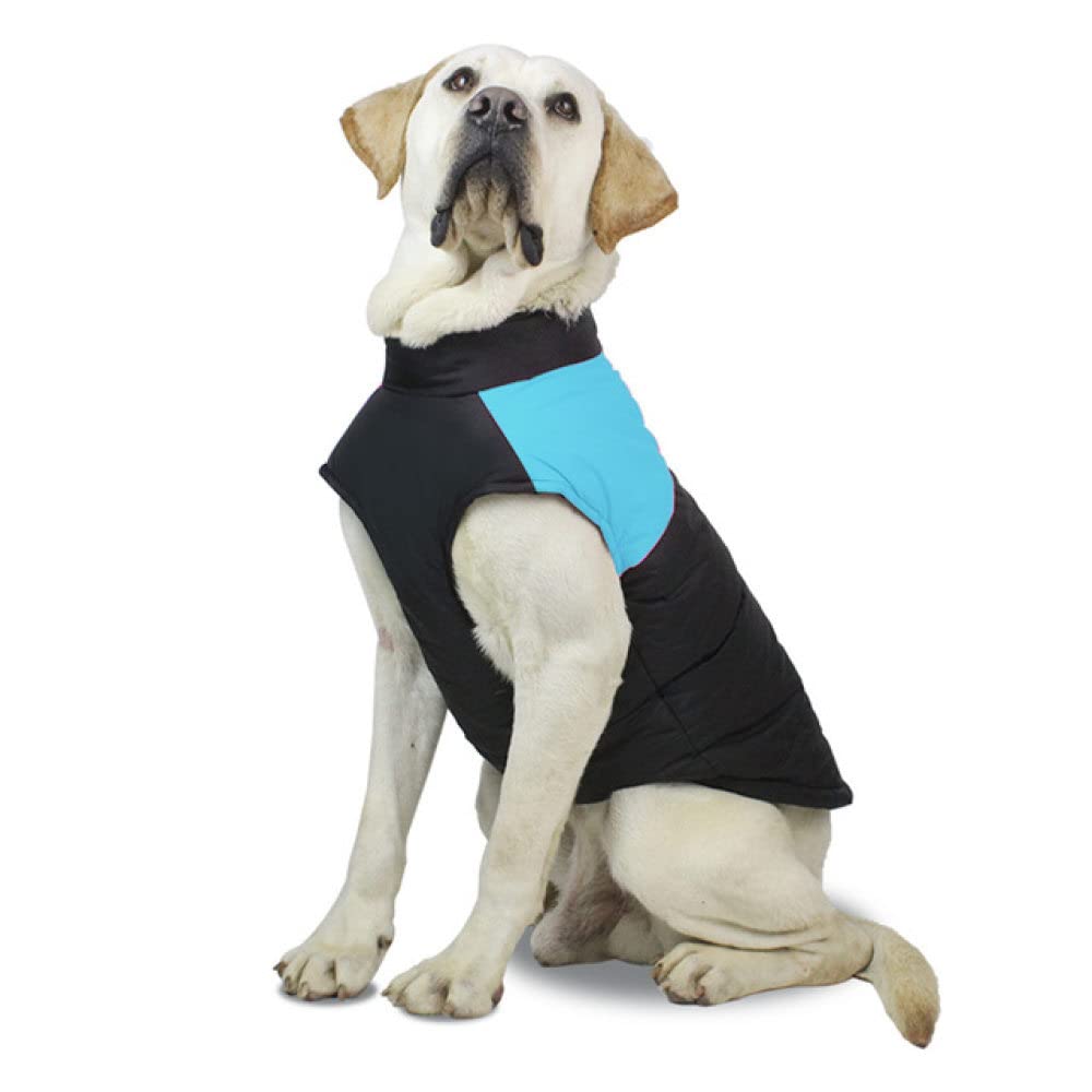 Veste zippée pour grand chien bleu 3XL contre le froid : manteau chaud et gilet rembourré
