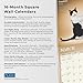 Yoga Cats Together OFFICIAL | 2025 12 x 24 Inch Monthly Square Wall Calendar | Plato | Animals Humor Pets
