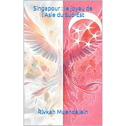 Singapour : le joyau de l'Asie du Sud-Est Audiolibro Por Rivkah Muendelein arte de portada