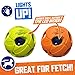 Nerf Dog Soccer Ball Dog Toy with Interactive LED, Lightweight, Durable and Water Resistant, 3.5 Inches, For Medium/Large Breeds, 2 Count(Pack of 1) Green and Orange
