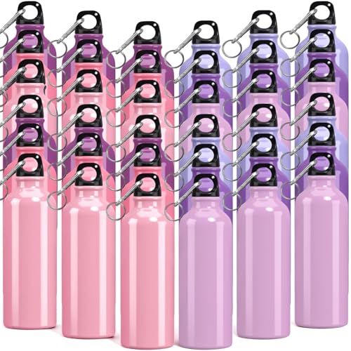 Yaomiao 36 Pcs Bulk Aluminum Water Bottles 17 oz, Pink Tones