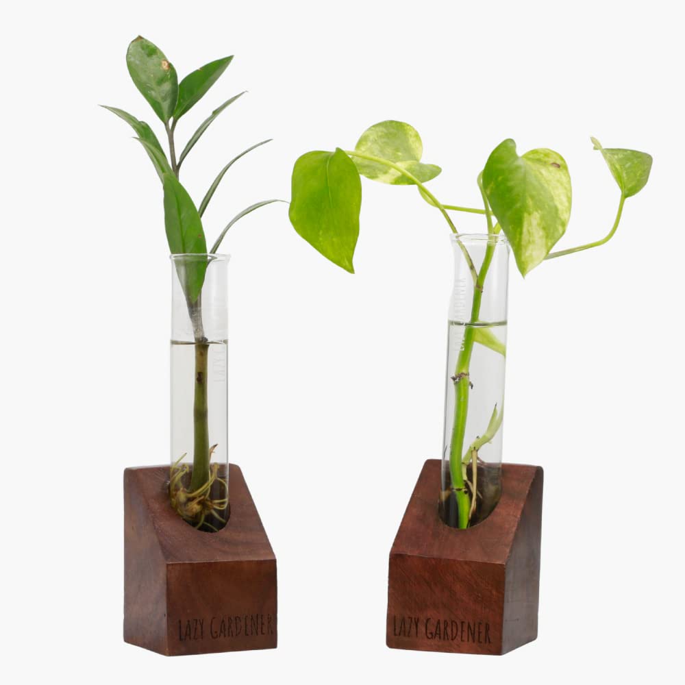 Lazy Gardener Test Tube Desk planters | Plant Holder Base with