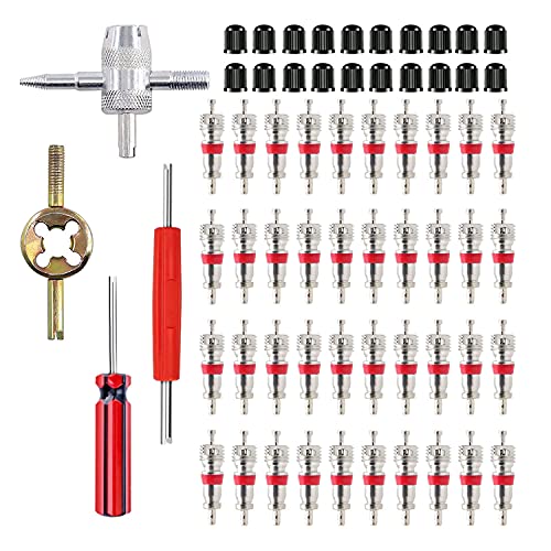 HUAZIZ Juego Herramientas núcleo válvula con 40 núcleos de válvula + 20 Tapas válvula de...