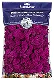 SuperMoss (23166) Reindeer Moss Preserved, Fuchsia, 8oz