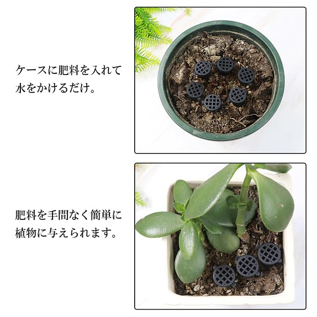 Amazon.co.jp: [DOYOUCOTO] 肥料バスケットケース【20個セット