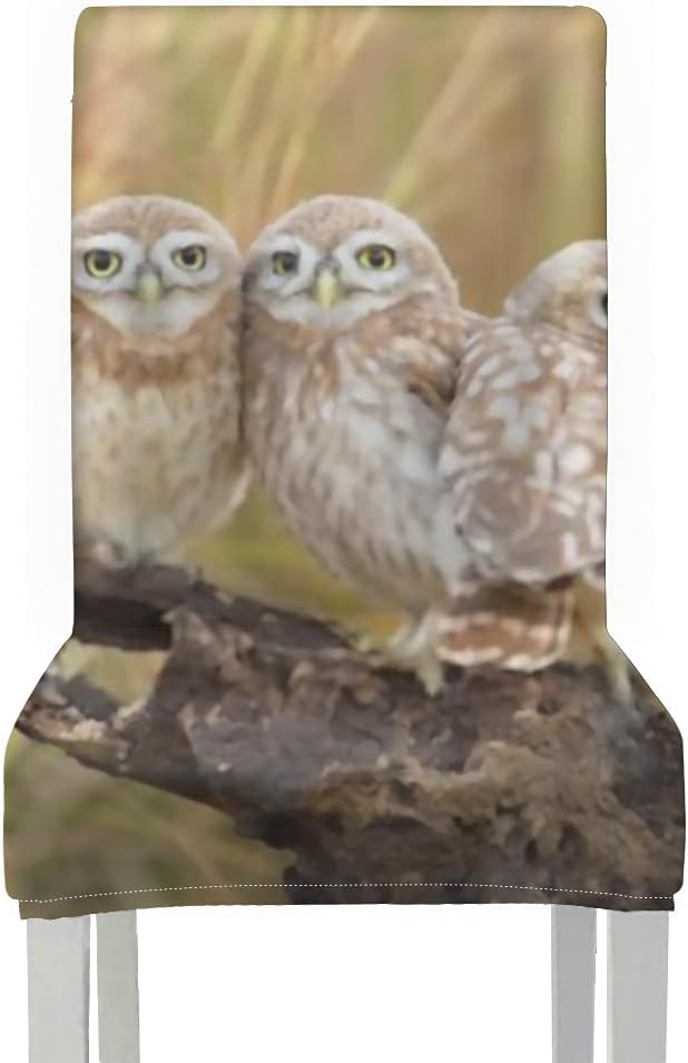 Chair Covers for Dining Roo 1pcs,Little Owls Family Portrait Stretch Removable Washable Dining Chair Protector Slipcovers for Home,Kitchen,Party,Restaurant