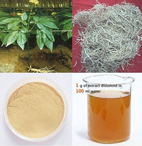 Wonderland Herbs Additive-Free Panax Ginseng Root Extract Capsule,400Mg * 100Capsules, 80% Ginsenoside #TOP3