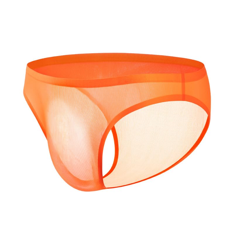 Men's Brief Underwear Mesh See Through Sexy Underpants Ice Silk Thread Underwear U-shaped Pouch Brief Shorts2