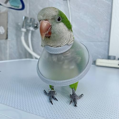 Image of Adjustable Parrot Cone Collar, Safe and Practical Cotton Collar to Prevent Bites and Licking Wounds, to Help heal (M)