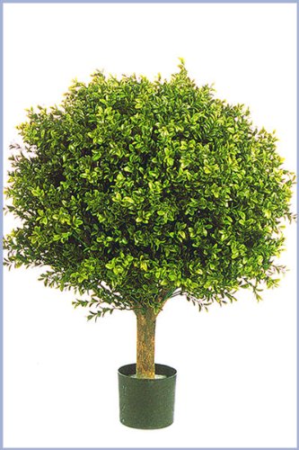 Licht & Grün exclusive Kunstpflanzen Künstliche Buchskugel für den...