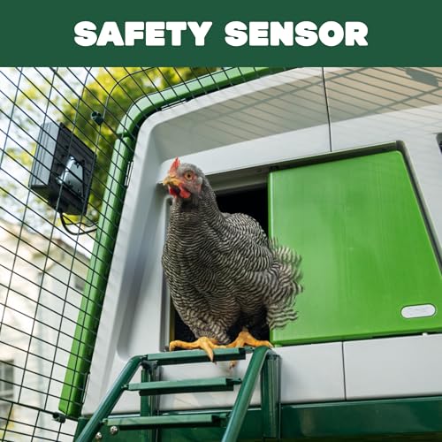 Image of Omlet Automatic Chicken Coop Door Opener Operated by Light Sensor or Timer | Easy to Install, No Maintenance Required | Improves Coop Security and Insulation | Built-in Safety Sensors | Green