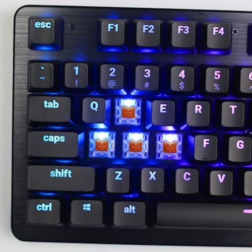https://m.media-amazon.com/images/I/51LkgF0pYlL.jpg