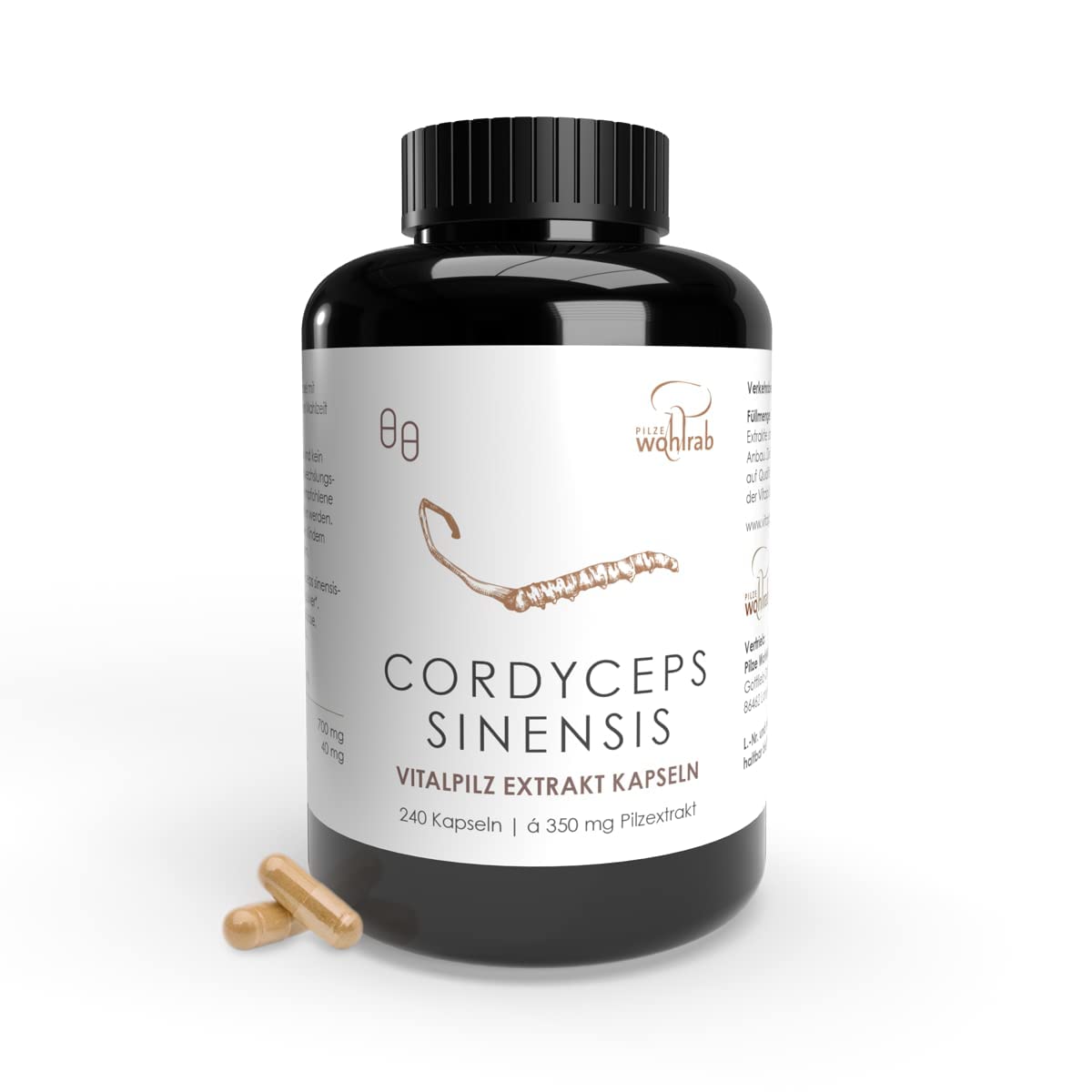 Bio Cordyceps Kapseln hochdosiert - 350 mg Cordyceps sinensis Extrakt je Kapsel - Bio Acerola Vitamin C - 1 Dose à 240 Stück - Nahrungsergänzungsmittel