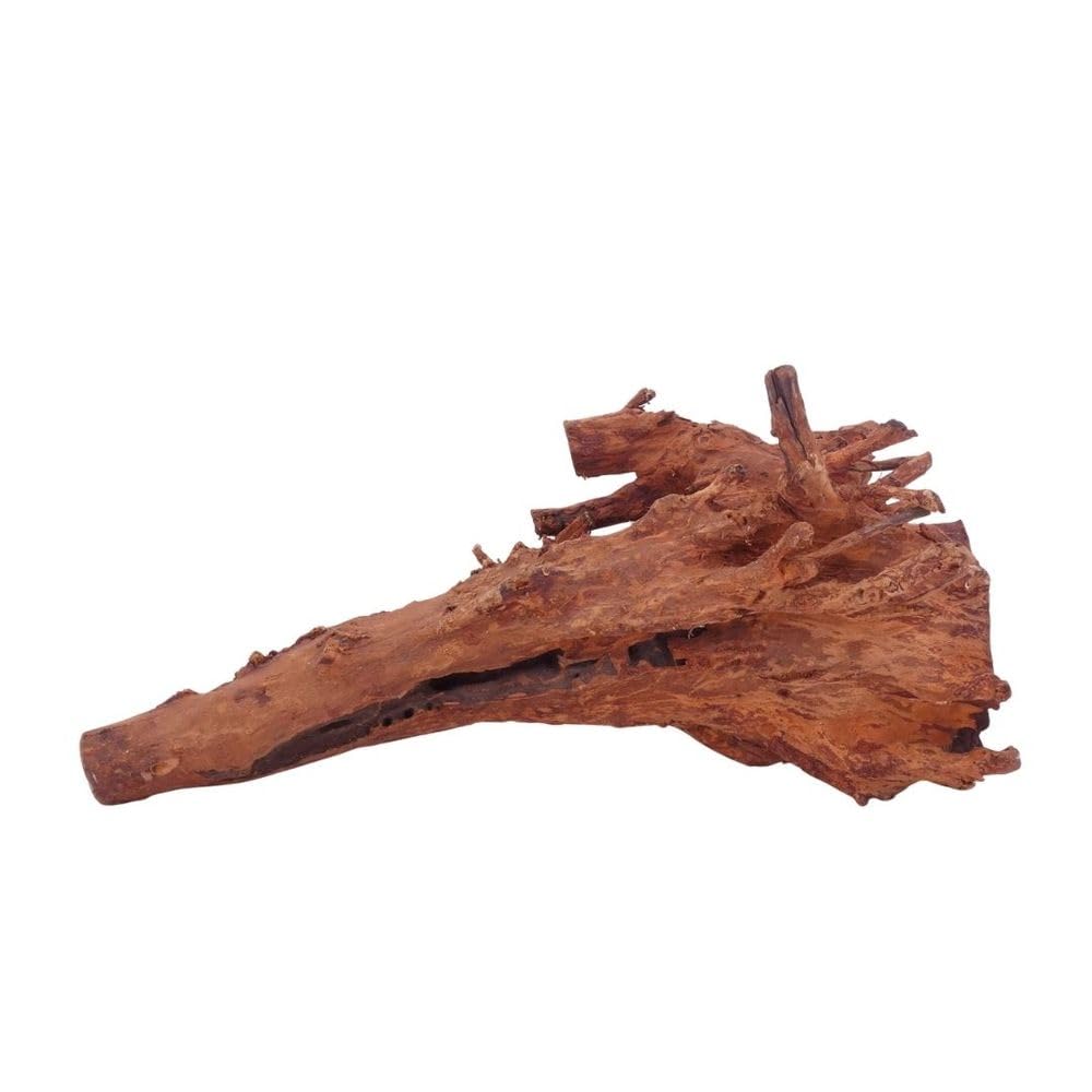 AquaOne Aquarium Wurzel L Jungle Wood Nr.4516 Aquarium Wurzel Holz Deko Aquascaping Dekoration Landschaft Moos Natur Echtholz