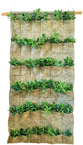 Geolana 02080328 Verical Garden Edilana Hemp 60x120, grau