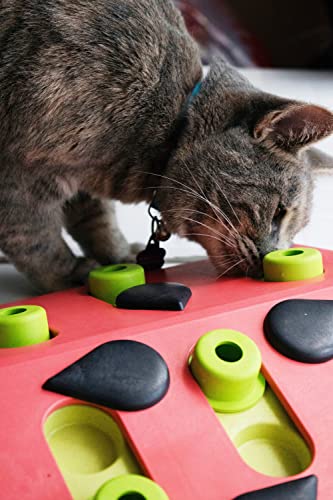 Catstages Nina Ottosson Interaktives Katzenspielzeug & Leckerli-Spender - Intelligenzspielzeug zur Selbstbeschäftigung, Fummelbrett für Katzen, langsames Fressen & Beschäftigung gegen Langeweile