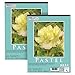 U.S. Art Supply 9" x 12" Premium Pastel Paper Pad, 80 Pound (180gsm), Assorted Natural Tone Paper Colors, Pad of 16-Sheets (Pack of 2 Pads)