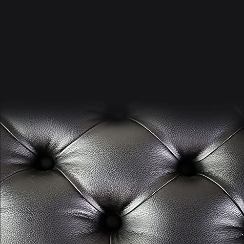 TEmkin Banc de Piano réglable en Hauteur, Double Tabouret de Piano Noir, Banc de Clavier, Tabouret de vanité avec Compartiment de Rangement et Coussin rembourré, Assemblage Facile - Les Beatles, Paul McCartney, John Lennon, RIngo Starr, George Harrison TEmkin Banc de Piano réglable en Hauteur, Double Tabouret de Piano Noir, Banc de Clavier, Tabouret de vanité avec Compartiment de Rangement et Coussin rembourré, Assemblage Facile – Image 4