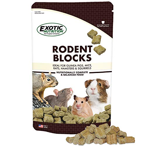 10 Best Rodent Block Products to Keep Your Home CritterFree Ultimate Buying Guide! Furry Folly