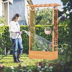 S AFSTAR 72-Inch Raised Garden Bed with Arch Trellis, Hanging Roof & Drainage Holes, Vertical Plant Container for Vine Climbing Plant Flower, Indoor Outdoor Wood Elevated Planter Box for Garden Patio S AFSTAR 72 Inch Raised Garden Bed with Arch Trellis Hanging Roof Drainage Holes Vertical Plant Container for Vine Climbing Plant Flower Indoor Outdoor Wood Elevated Planter Box for Garden Patio