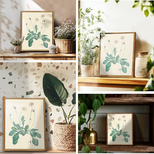 crmotu Botanical Framed Wall Art, Daisy Vintage Decor Pictures, Minimalist Floral Canvas Prints, Still Life Flower Nature Wall Decor, Bathroom Bedroom Above Bed Kitchen Rustic Home Decor, 9x11 inch