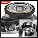 Frankberg Radlager Radlagersatz Hinten Flansch-Rad ⌀116,2 Mit ABS Magnetring Kompatibel mit 147 937 GT 937 156 Sportwagon 932 156 932 Replace# 60652014