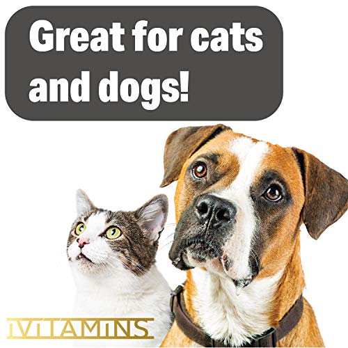 Ivitamins Hemp Oil For Pets, Dogs, Cats : 4 Fl Oz : May Help With Separation, Inflammation, Joints, Hips, And More : Hemp Extract : Easily Apply To Treats (1,000Mg) #TOP1