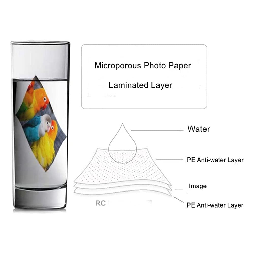 VITSA Ultra Premium Photo Paper ? 270 gsm Resin Coated ? RC High Glossy Photographic Paper 4x6 size - 100% Waterproof with laminated layer (4 X 6 SIZE (102 x 152 mm), PACK OF 50 SHEETS) 1
