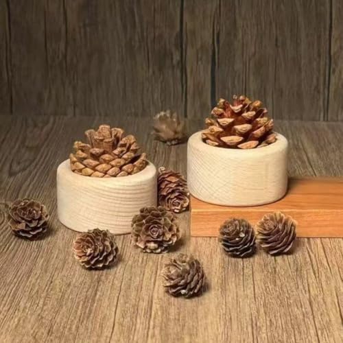 Difusor de aromas en madera para auto y hogar miniatura 4